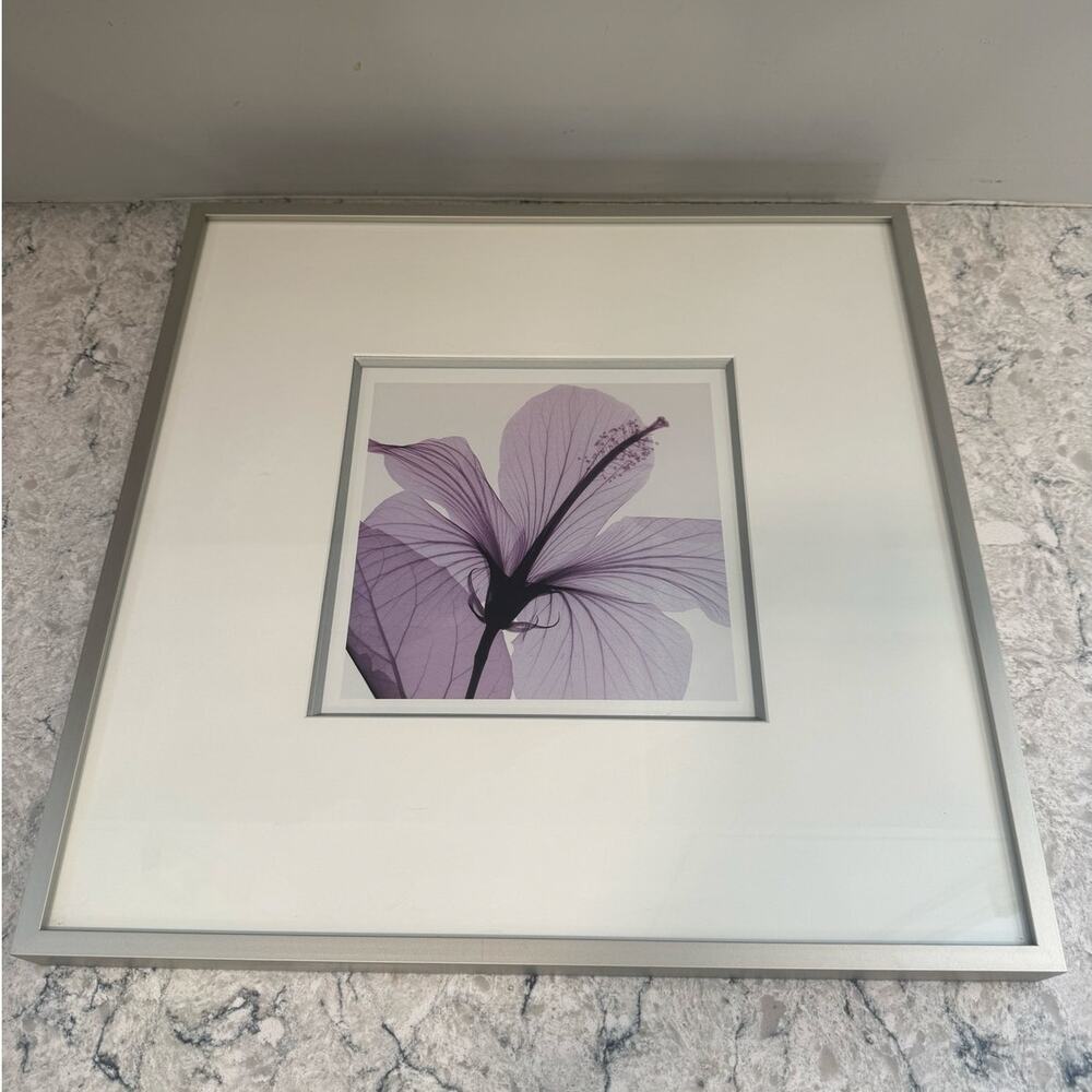 Beautiful Professionally Framed Print of a Hibiscus Flower in Soft Purple Tones